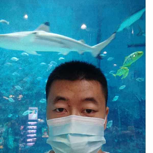河北34岁单身帅哥真诚找对象-黑龙江征婚相亲网