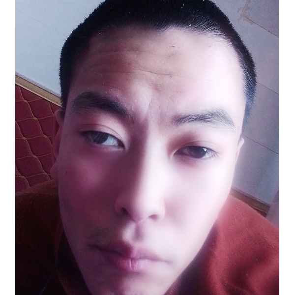 宁夏25岁单身帅哥真诚找对象-黑龙江征婚相亲网