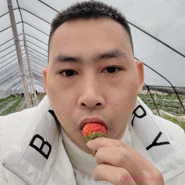 贵州37岁单身帅哥真诚找对象-黑龙江征婚相亲网